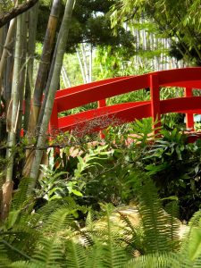 Miami Beach Botanical Garden — Miami