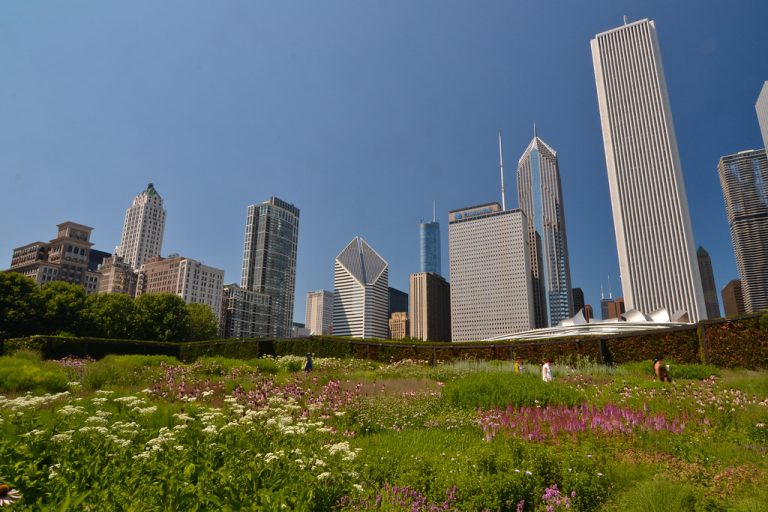 Millennium Park — Chicago