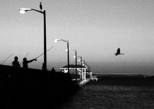 Ballast Point Park — Tampa Bay