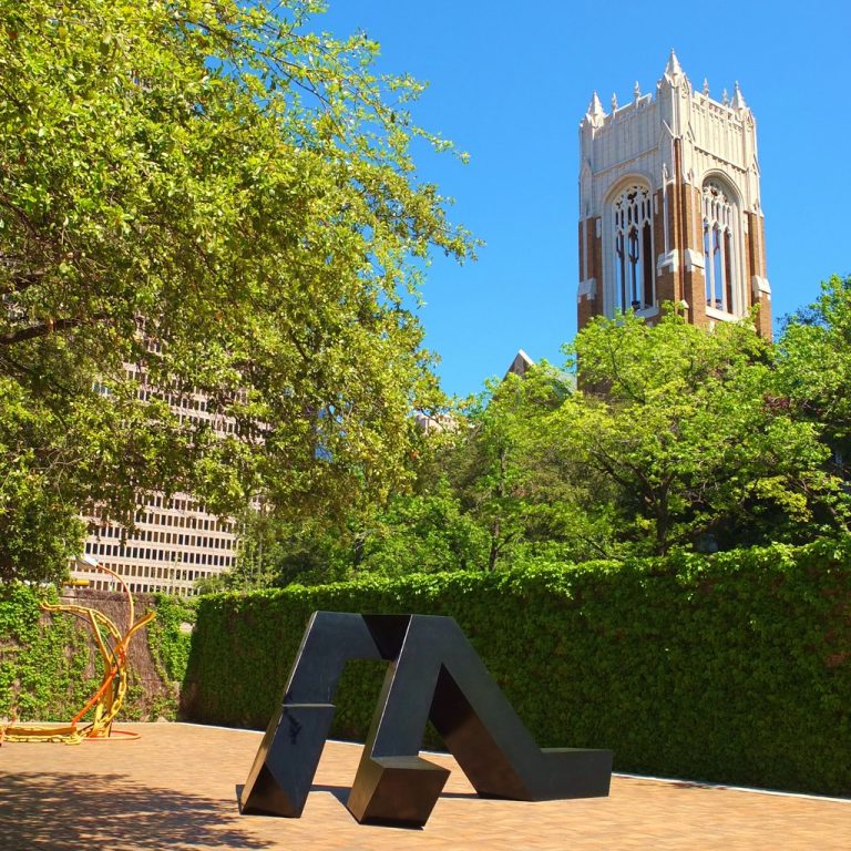 The Dallas Museum of Art — Dallas