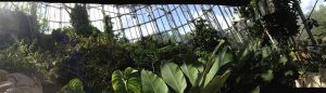 Cockrell Butterfly Center — Houston
