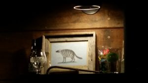 Aardwolf Brewing Company — Jacksonville