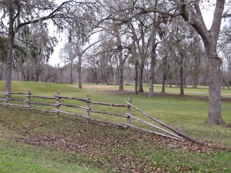 Austin Celebrates National Park and Recreation Month All July Long