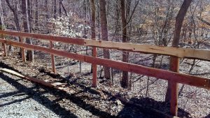 Duke Forest — Durham