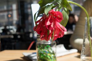 Scenic Route Bakery — Des Moines