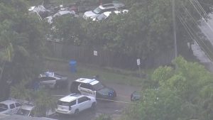 2 Year Old Killed In West Park Accident