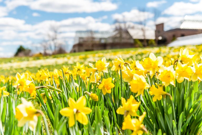 Tower Hill Botanic Garden — Worcester