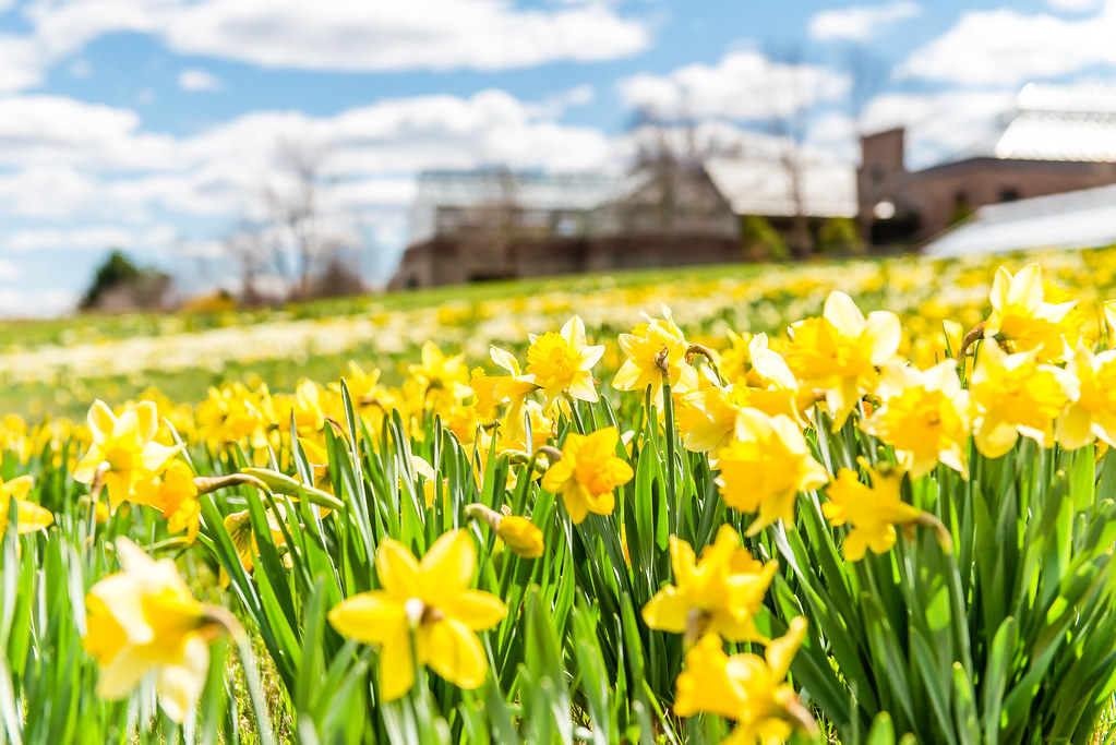 Tower Hill Botanic Garden — Worcester