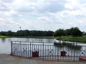 Wynton M. Blount Cultural Park — Montgomery