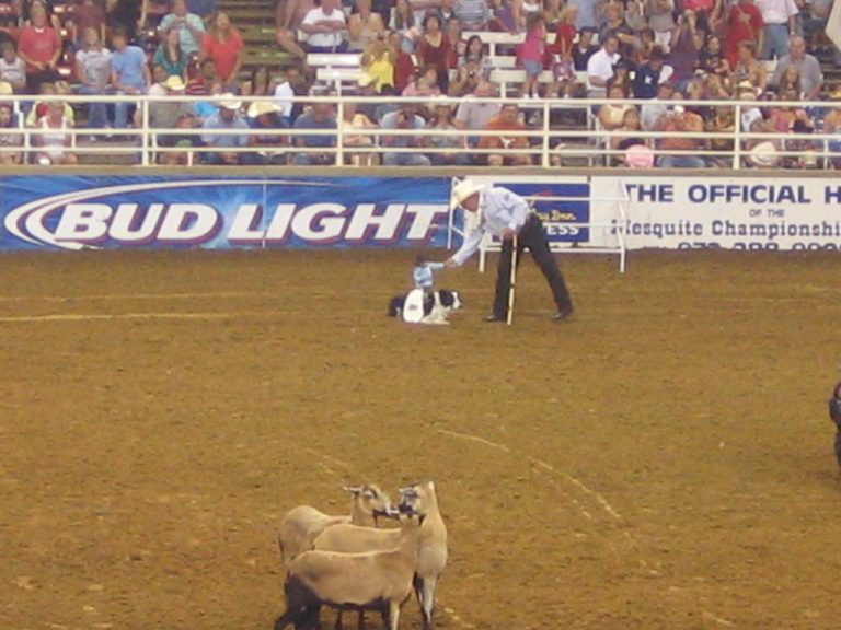 Mesquite Rodeo (Mesquite Arena) — Mesquite