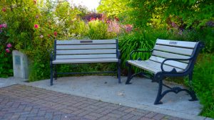 Owen Rose Garden — Eugene