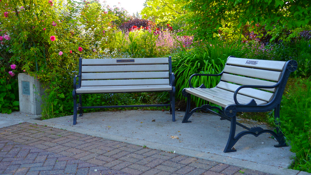 Owen Rose Garden — Eugene
