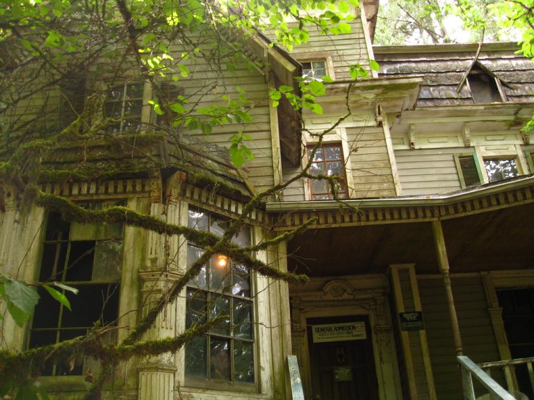 Enchanted Forest — Salem