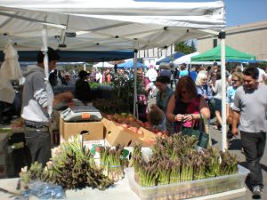 Proctor Farmers Market — Tacoma