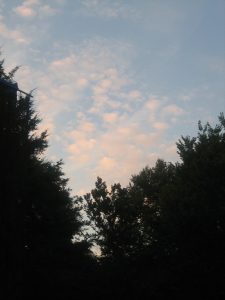 Edgerton Park — New Haven