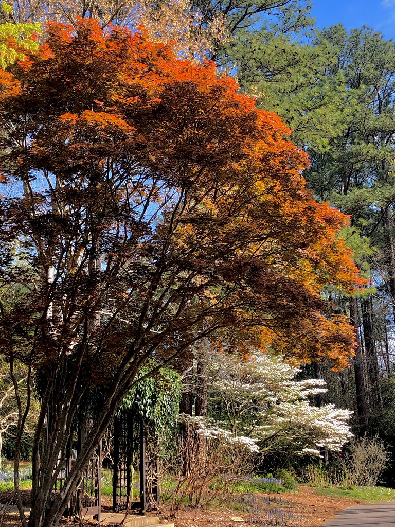 Aldridge Gardens — Birmingham