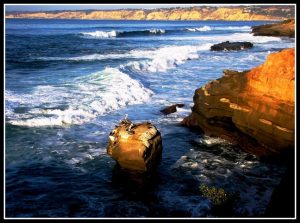 Torrey Pines State Natural Reserve — San Diego