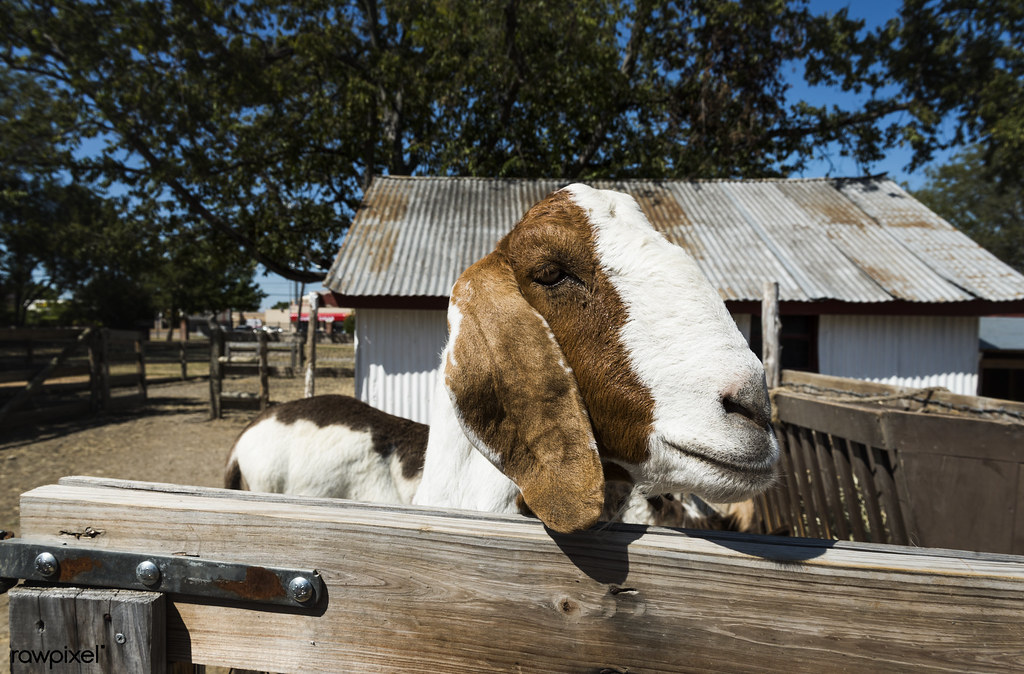 Heritage Farmstead Museum — Plano