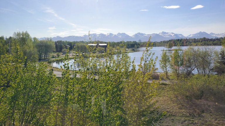 Earthquake Park — Anchorage
