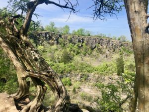 Ruffner Mountain Nature Preserve — Birmingham