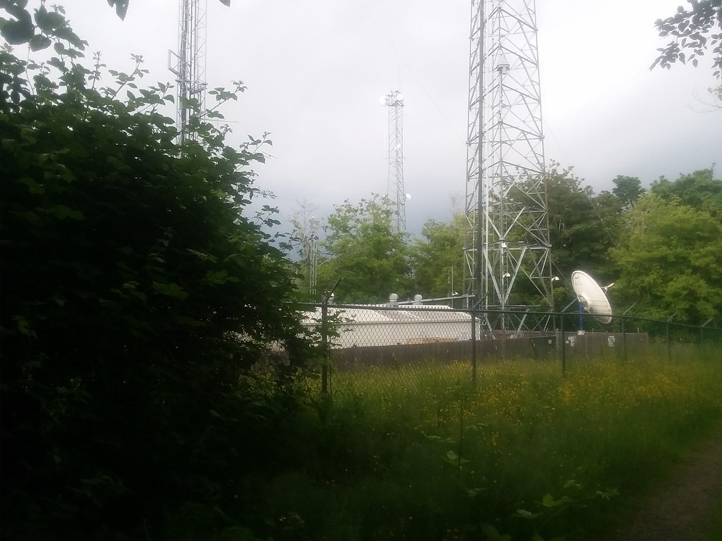 Tacoma's KNKX Public Radio Receives Generous $1 Million Gift