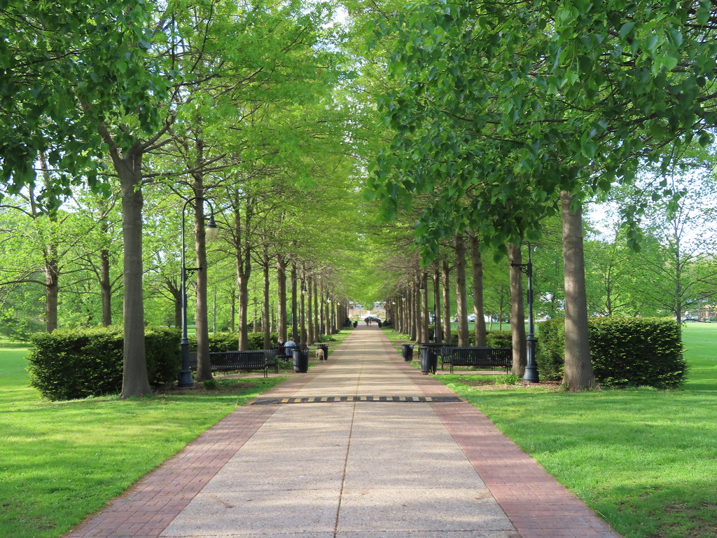 Vander Veer Botanic Park — Davenport
