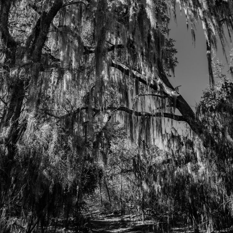 Government Canyon State Natural Area — San Antonio