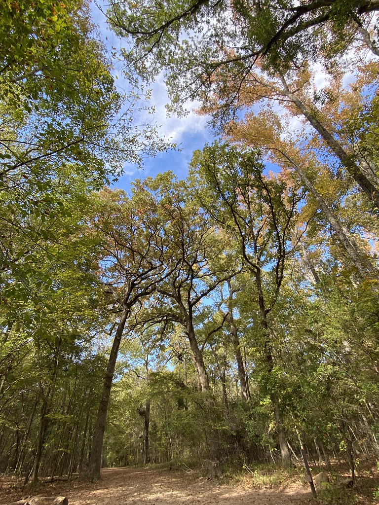 Faulkner Park — Tyler