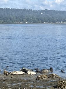 Owen Beach — Tacoma