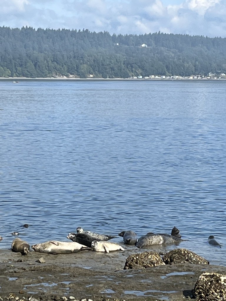 Owen Beach — Tacoma
