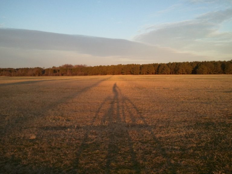Sokol Park — Tuscaloosa