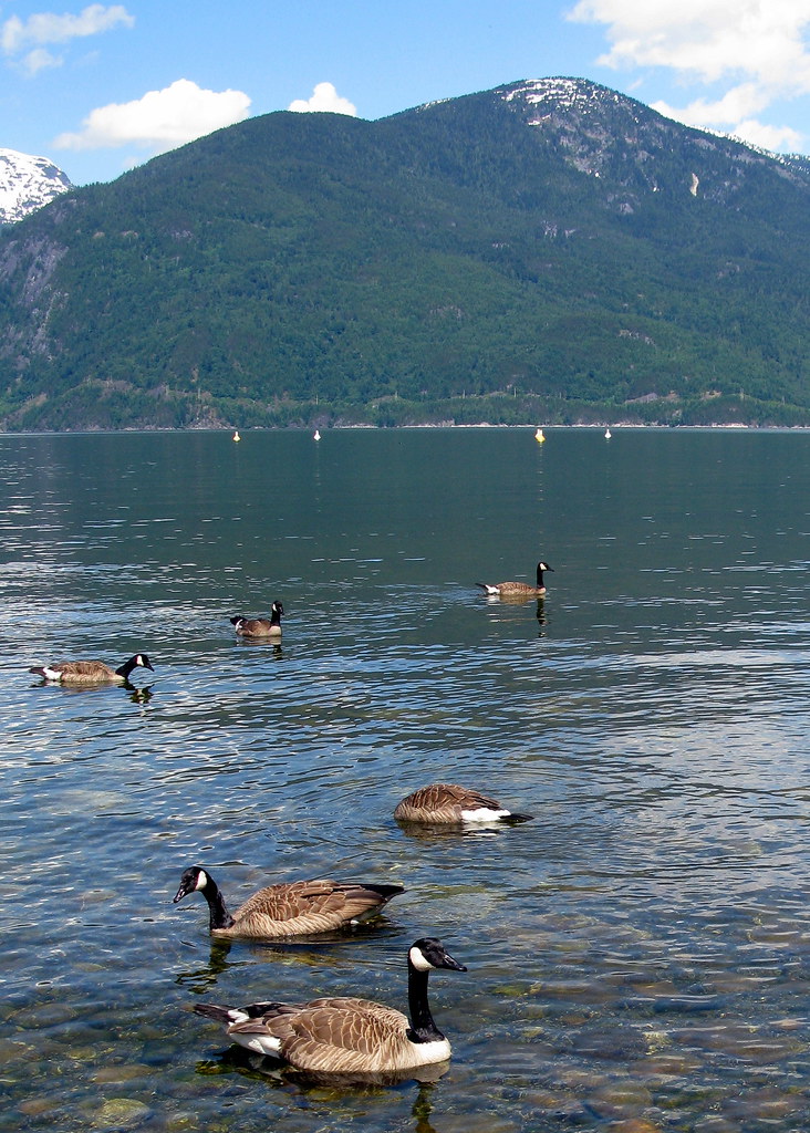 Vancouver Lake Regional Park — Vancouver