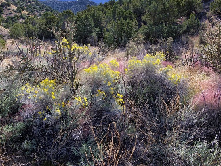 Piedra Lisa Trail — Albuquerque