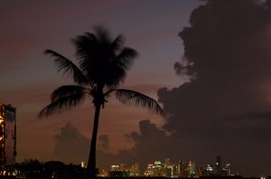 Matheson Hammock Park — Miami