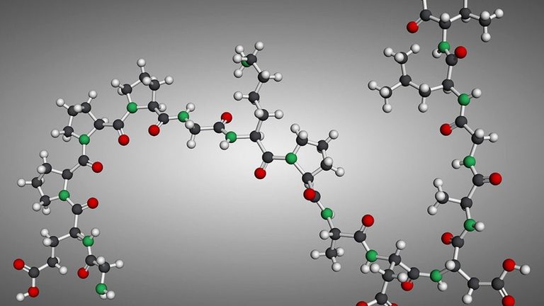 83 Of Americans Want Fda To Make Peptides More Accessible