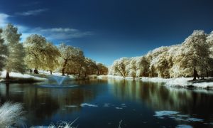 Randol Mill Park — Arlington