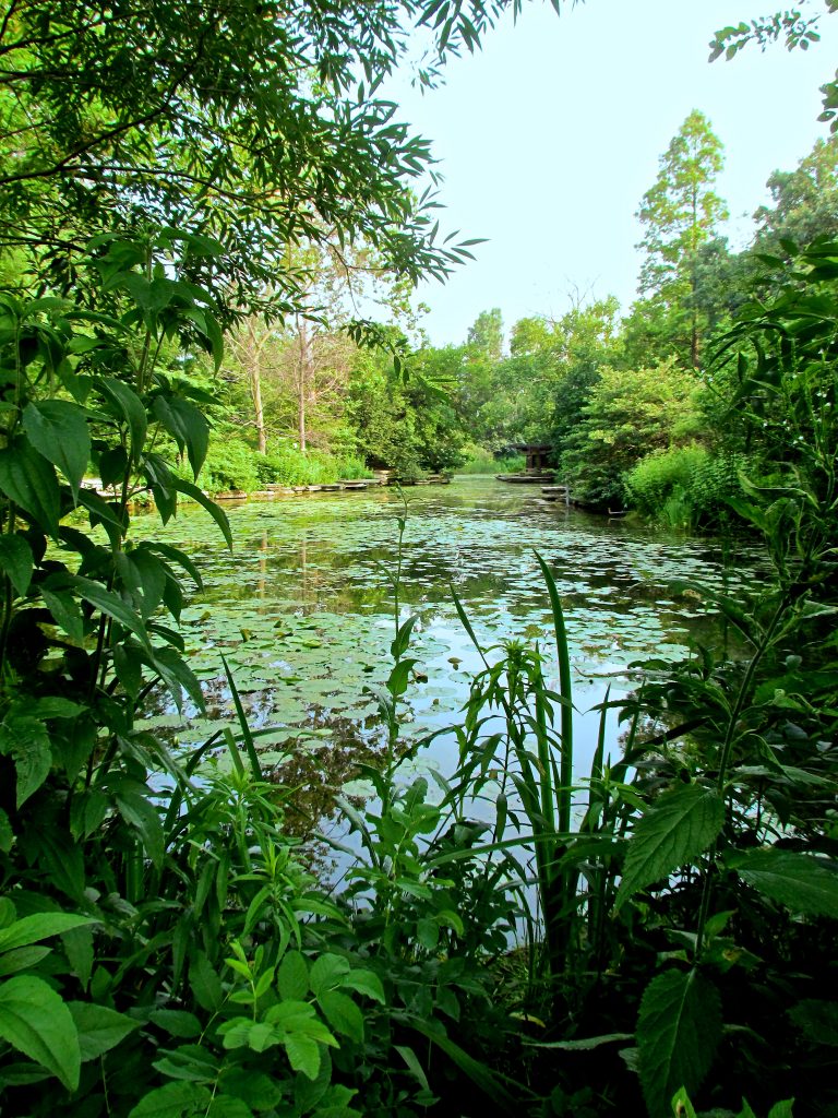 Alfred Caldwell Lily Pool (Lincoln Park) — Chicago