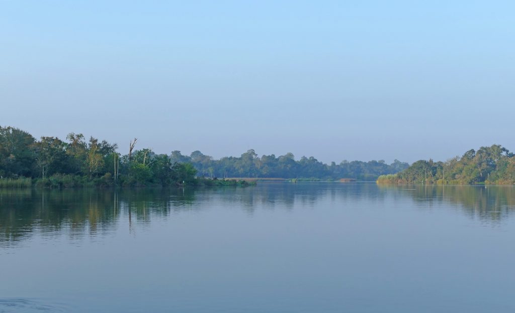 Armand Bayou Nature Center — Houston