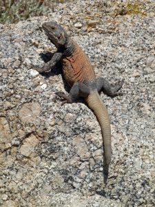 Pinnacle Peak Park — Scottsdale