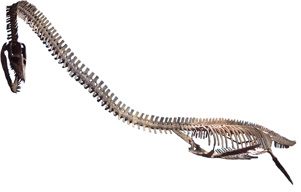 Rocky Mountain Dinosaur Resource Center — Woodland Park