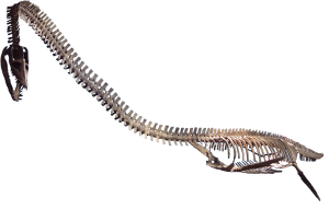 Rocky Mountain Dinosaur Resource Center — Woodland Park