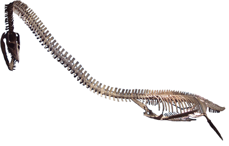 Rocky Mountain Dinosaur Resource Center — Woodland Park