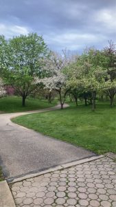 F.A. Seiberling Nature Realm — Akron