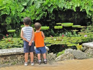 Fruit & Spice Park — Miami