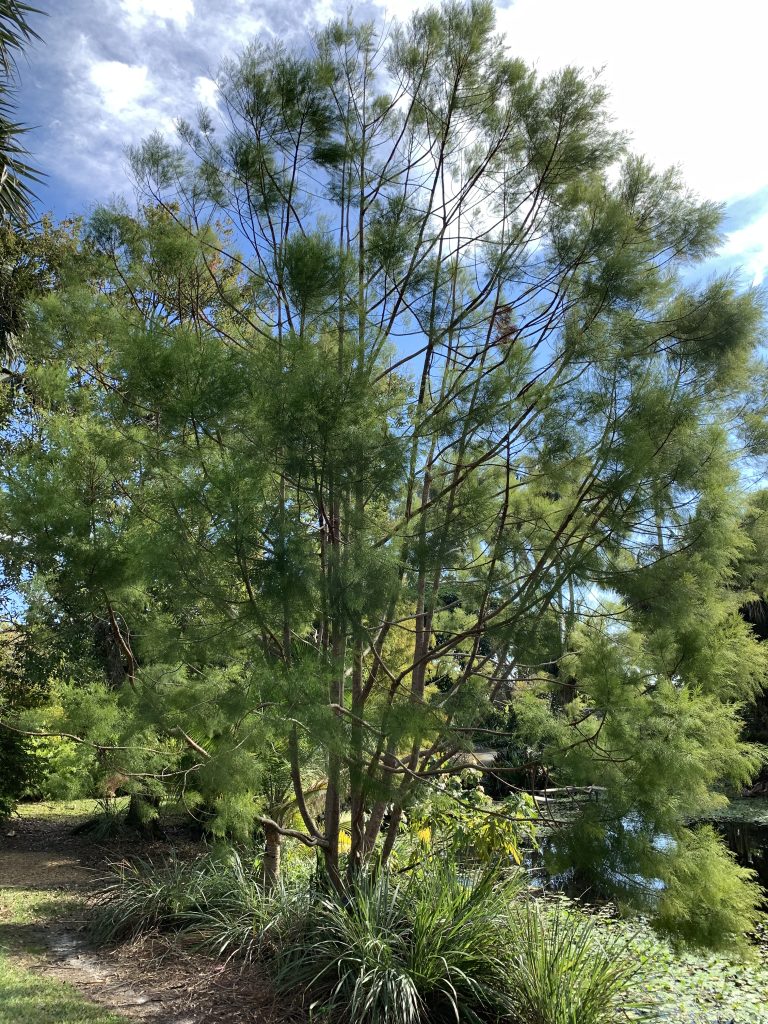 Mounts Botanical Garden — West Palm Beach