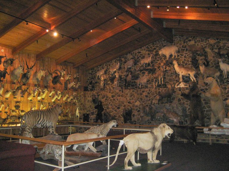 International Wildlife Museum — Tucson
