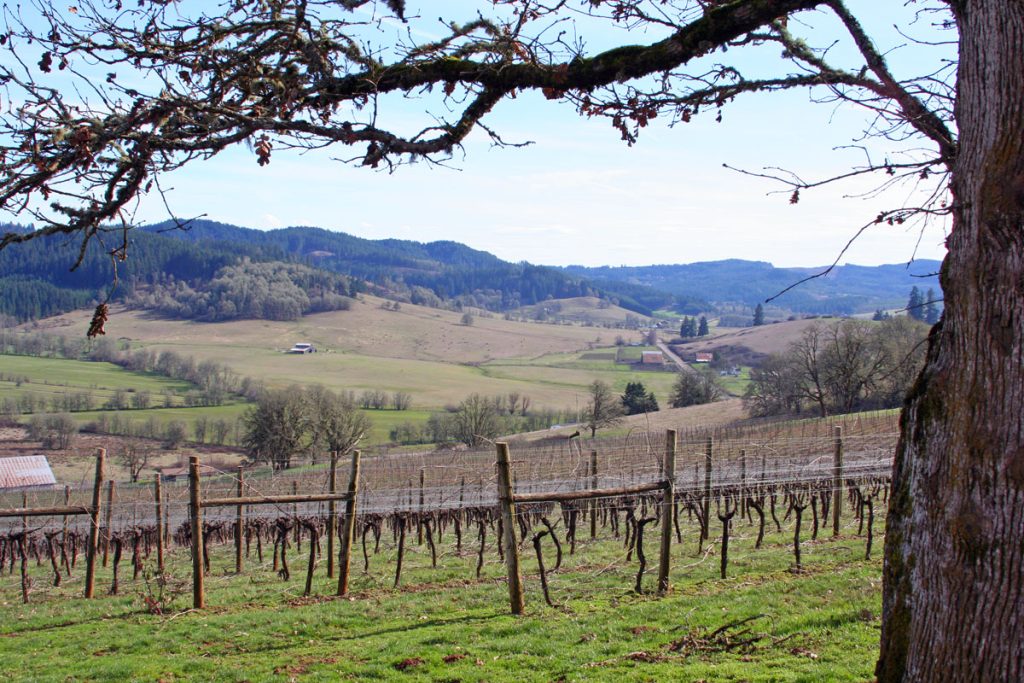 Sweet Cheeks Winery — Eugene