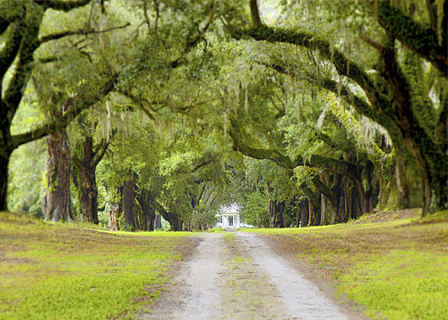 Mansfield Plantation — Georgetown
