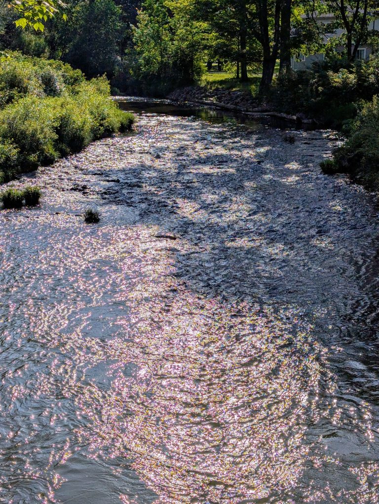 Tuna Valley Trail — Bradford