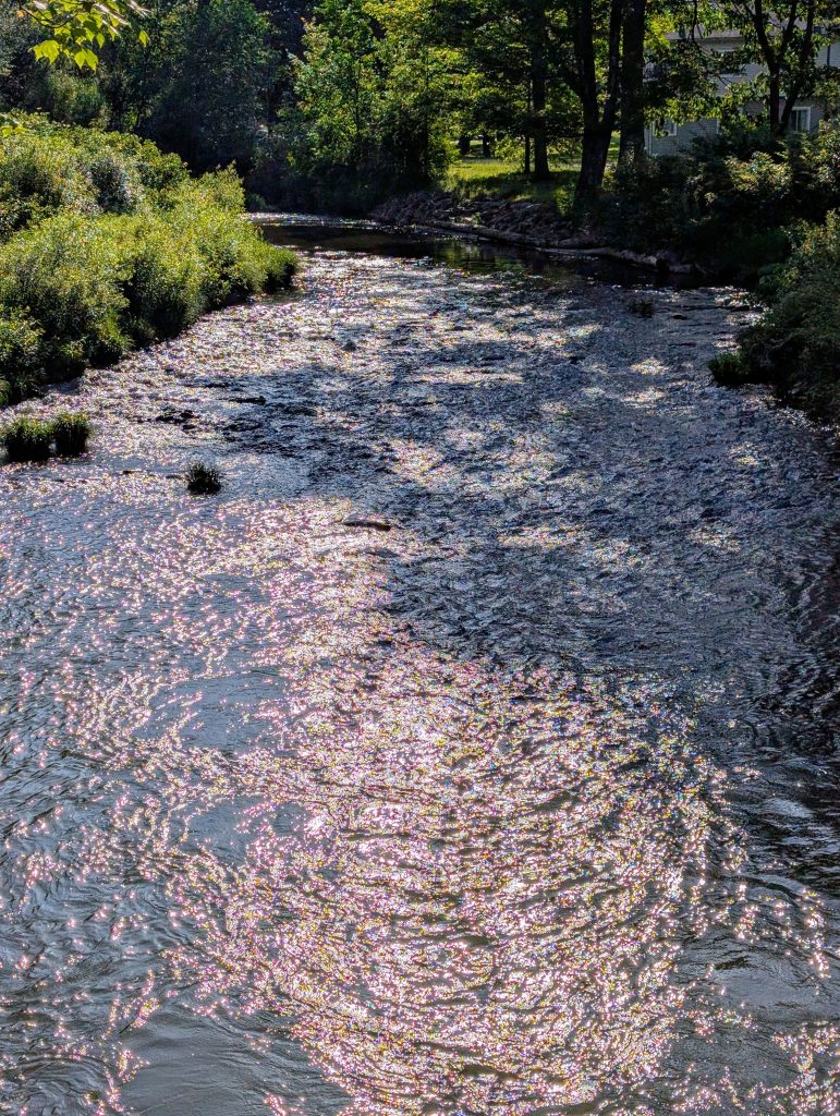 Tuna Valley Trail — Bradford